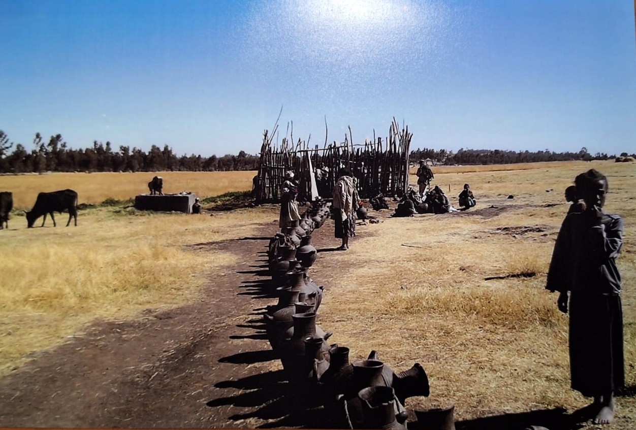 Immagine che raffigura Scatti d'Autore: Acqua